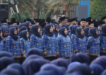 Formasi dan Kriteria PPPK Paruh Waktu 2025, Catat Baik-Baik!