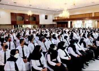 Berikut Jadwal, Link dan Cara Ceknya! Pengumuman Hasil Kelulusan PPPK Tahap 2 Tinggal Menghitung Hari