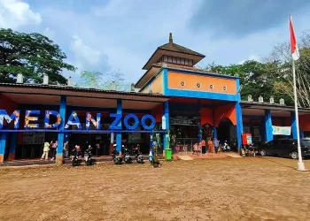 Pemko Medan Bersiap Ubah Medan Zoo Jadi Pusat Edukasi dan Konservasi Satwa