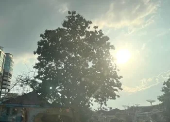 Waspada Cuaca Ekstrem, Medan Diprediksi Alami Suhu Tertinggi 37 Derajat Hari Ini