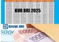 Butuh Modal Usaha? KUR BRI 2025 Solusinya!