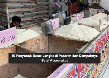 10 Penyebab Beras Langka di Pasaran dan Dampaknya Bagi Masyarakat