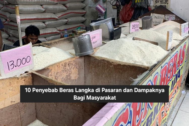 10 Penyebab Beras Langka di Pasaran dan Dampaknya Bagi Masyarakat