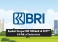 Apakah Bunga KUR BRI Naik di 2025? Ini Fakta Terbarunya