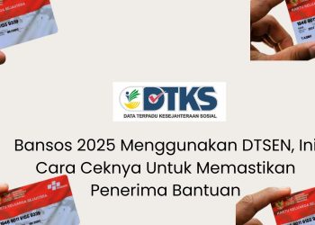 Bansos 2025 Menggunakan DTSEN, Ini Cara Ceknya Untuk Memastikan Penerima Bantuan