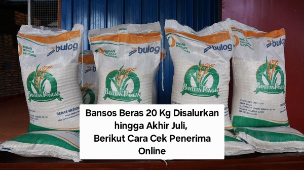 Bansos Beras 20 Kg Disalurkan hingga Akhir Juli, Berikut Cara Cek Penerima Online
