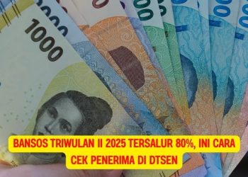 Bansos Triwulan II 2025 Tersalur 80%, Ini Cara Cek Penerima di DTSEN