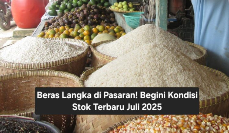 Beras Langka di Pasaran! Begini Kondisi Stok Terbaru Juli 2025