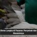 Beras Langka di Pasaran: Penyebab dan Masalahnya