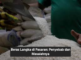 Beras Langka di Pasaran: Penyebab dan Masalahnya