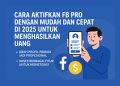 Cara Aktifkan FB Pro dengan Mudah dan Cepat di 2025 Untuk Menghasilkan Uang
