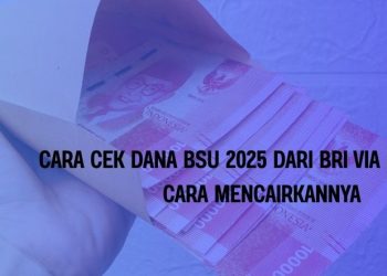 Cara Cek Dana BSU 2025 dari BRI via BRImo dan Cara Mencairkannya