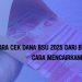 Cara Cek Dana BSU 2025 dari BRI via BRImo dan Cara Mencairkannya