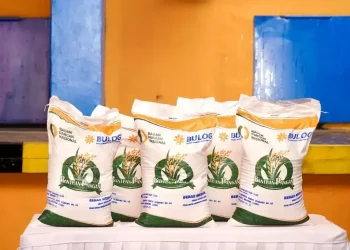 Mau Ambil Bansos Beras? Cek Titik Distribusinya di Wilayahmu