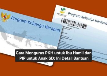 Cara Mengurus PKH untuk Ibu Hamil dan PIP untuk Anak SD: Ini Detail Bantuan