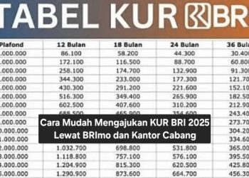 Cara Mudah Mengajukan KUR BRI 2025 Lewat BRImo dan Kantor Cabang