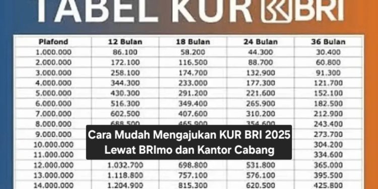 Cara Mudah Mengajukan KUR BRI 2025 Lewat BRImo dan Kantor Cabang