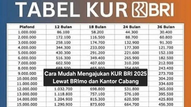 Cara Mudah Mengajukan KUR BRI 2025 Lewat BRImo dan Kantor Cabang