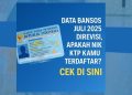 Data Bansos Juli 2025 Direvisi, Apakah NIK KTP Kamu Terdaftar Cek Disini