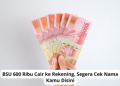 BSU 600 Ribu Cair ke Rekening, Segera Cek Nama Kamu Disini