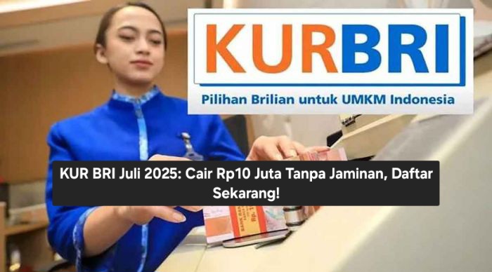 KUR BRI Juli 2025: Cair Rp10 Juta Tanpa Jaminan, Daftar Sekarang!