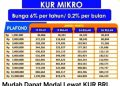 Mudah Dapat Modal Lewat KUR BRI, Angsuran Bisa Sampai 3 Tahun