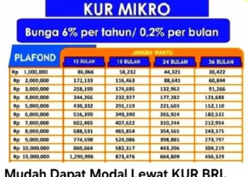 Mudah Dapat Modal Lewat KUR BRI, Angsuran Bisa Sampai 3 Tahun