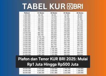 Plafon dan Tenor KUR BRI 2025: Mulai Rp1 Juta Hingga Rp500 Juta