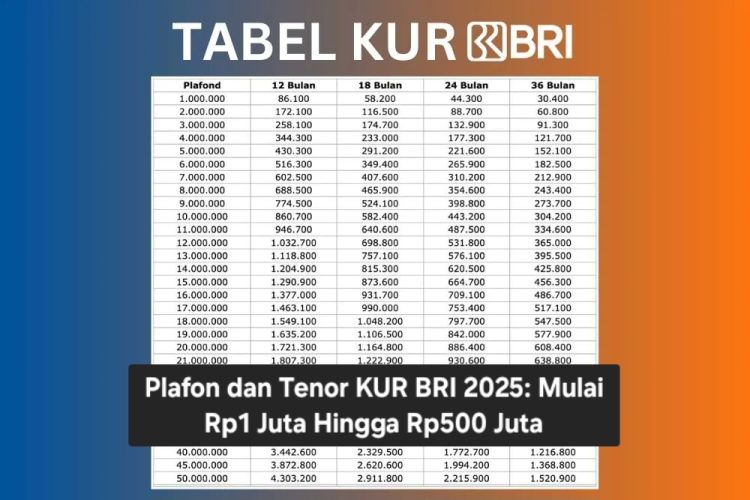 Plafon dan Tenor KUR BRI 2025: Mulai Rp1 Juta Hingga Rp500 Juta