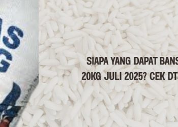 Siapa yang Dapat Bansos Beras 20Kg Juli 2025 Cek DTSEN di Sini!