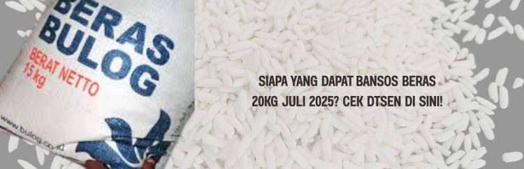 Siapa yang Dapat Bansos Beras 20Kg Juli 2025 Cek DTSEN di Sini!