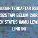 Sudah Terdaftar BSU 2025 Tapi Belum Cair Cek Status Kamu Lewat Link Ini