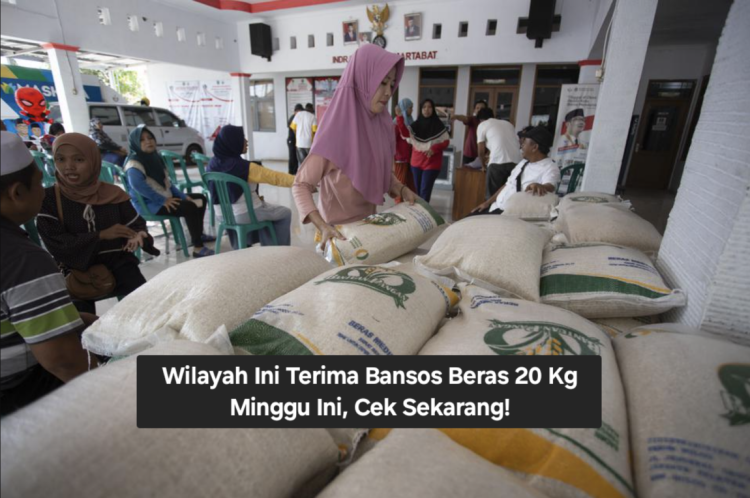 Wilayah Ini Terima Bansos Beras 20 Kg Minggu Ini, Cek Sekarang!