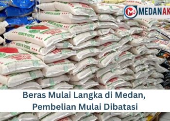 Beras Mulai Langka di Medan, Pembelian Mulai Dibatasi