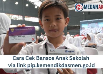 Cara Cek Bansos Anak Sekolah via link pip.kemendikdasmen.go.id