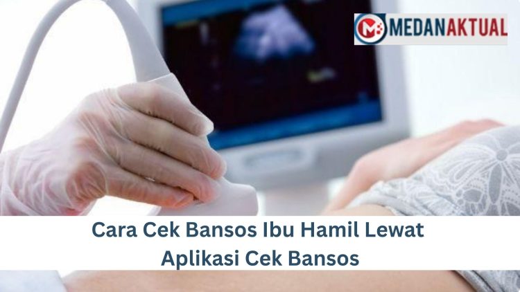 Cara Cek Bansos Ibu Hamil Lewat Aplikasi Cek Bansos