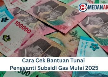 Cara Cek bantuan Tunai Pengganti Subsidi Gas Mulai 2025