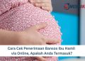 Cara Cek Penerimaan Bansos Ibu Hamil via Online, Apakah Anda Termasuk?