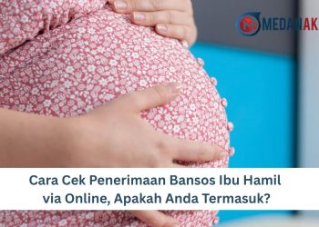 Cara Cek Penerimaan Bansos Ibu Hamil via Online, Apakah Anda Termasuk?