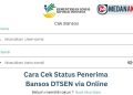 Cara Cek Status Penerima Bansos DTSEN via Online