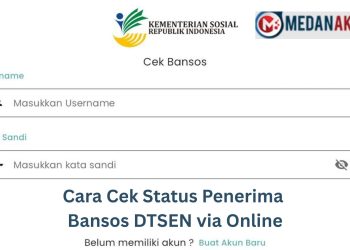 Cara Cek Status Penerima Bansos DTSEN via Online