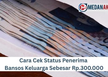 Cara Cek Status Penerima Bansos Keluarga Sebesar Rp.300.000