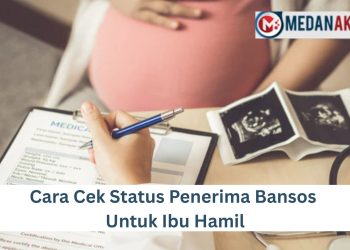 Cara Cek Status Penerima Bansos Untuk Ibu Hamil
