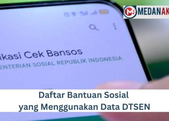 Daftar Bantuan Sosial yang Menggunakan Data DTSEN