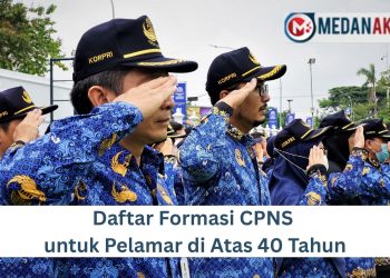 Daftar Formasi CPNS untuk Pelamar di Atas 40 Tahun