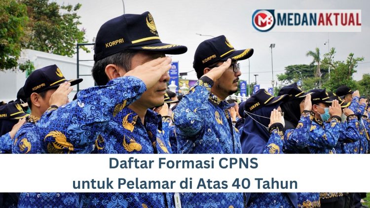 Daftar Formasi CPNS untuk Pelamar di Atas 40 Tahun