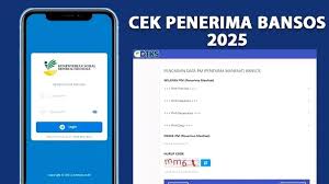 Pendaftaran DTKS 2025: Perbedaan Waktu dan Prosedur Online vs Offline