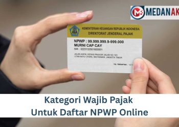Kategori Wajib Pajak Untuk Daftar NPWP Online