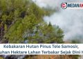 Kebakaran Hutan Pinus Tele Samosir, Puluhan Hektare Lahan Terbakar Sejak Dini Hari