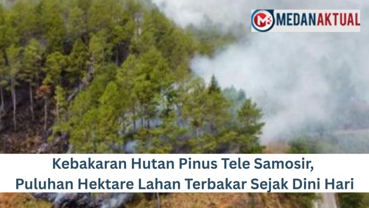 Kebakaran Hutan Pinus Tele Samosir, Puluhan Hektare Lahan Terbakar Sejak Dini Hari